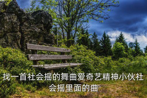 社会摇广场舞音乐叫什么，找一首社会摇的舞曲爱奇艺精神小伙社会摇里面的曲