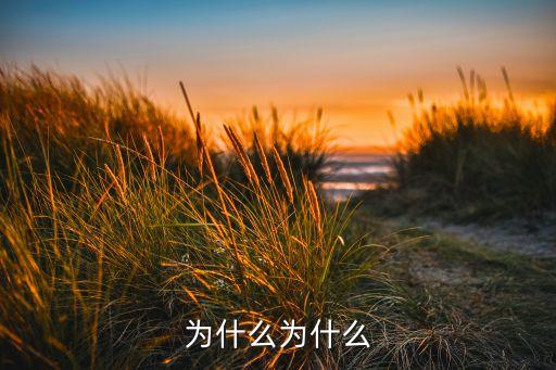 广场舞为什么为什么，为什么那个手语怎么做