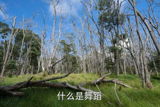 什么是中国舞蹈，什么是舞蹈