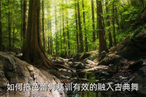 古典舞基训和芭蕾舞基训，如何把芭蕾舞基训有效的融入古典舞