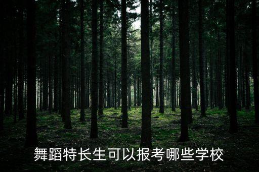 舞蹈特长生可以报考哪些学校