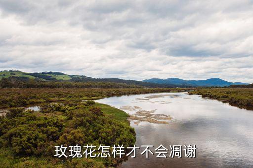 怎么让玫瑰花不凋落，玫瑰花怎样才不会凋谢