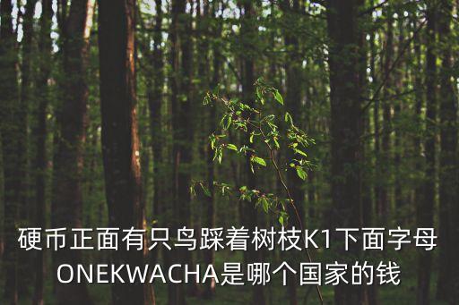 硬币正面有只鸟踩着树枝K1下面字母ONEKWACHA是哪个国家的钱