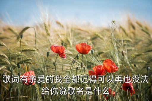 歌词有亲爱的我全都记得可以再也没法给你说歌名是什么