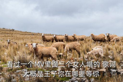 看过一个MV里面三个女人唱的 歌词大概是王子你在哪里等你