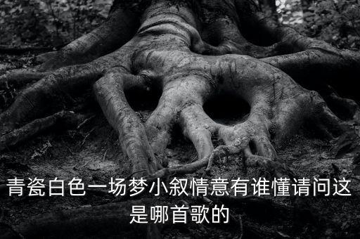 青瓷白色一场梦小叙情意有谁懂请问这是哪首歌的