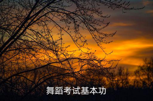 舞蹈艺考基本功考哪些内容，艺考舞蹈考什么