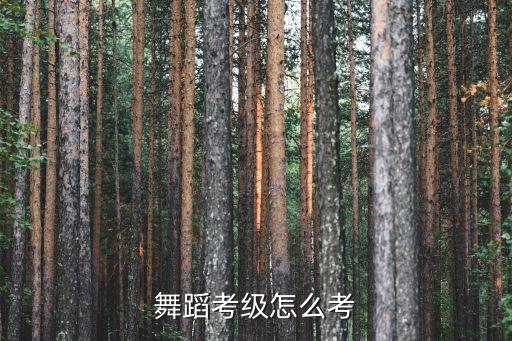 舞蹈考级怎么考