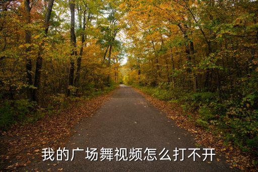 我的广场舞视频怎么打不开