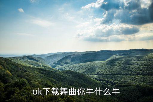 ok下载舞曲你牛什么牛