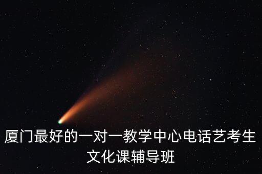 厦门最好的一对一教学中心电话艺考生文化课辅导班