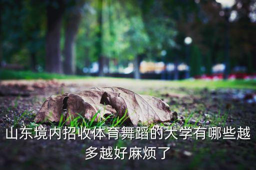 山东境内招收体育舞蹈的大学有哪些越多越好麻烦了