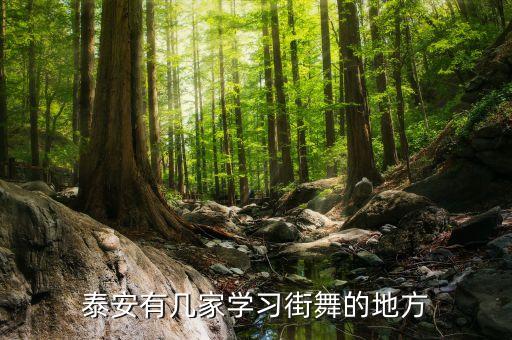 泰安有几家学习街舞的地方