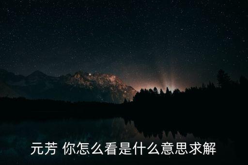 元芳 你怎么看是什么意思求解