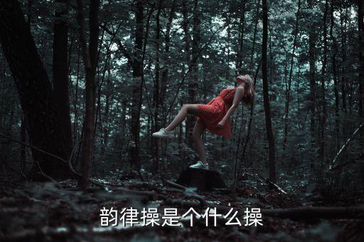 韵律操是个什么操