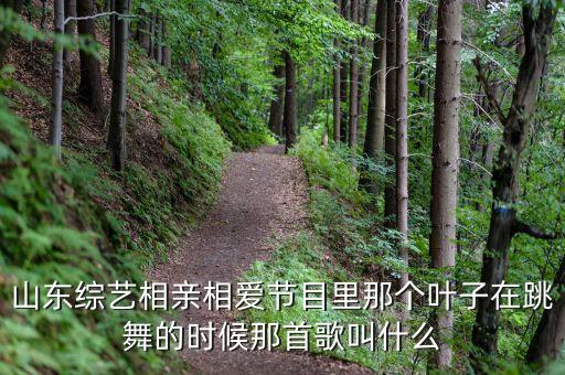 山东综艺相亲相爱节目里那个叶子在跳舞的时候那首歌叫什么