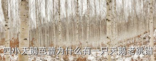 四小天鹅芭蕾为什么有一只天鹅老跳错