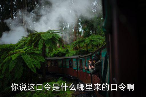 美口令 哪里来，你说这口令是什么哪里来的口令啊