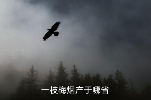 一枝梅烟产于哪省