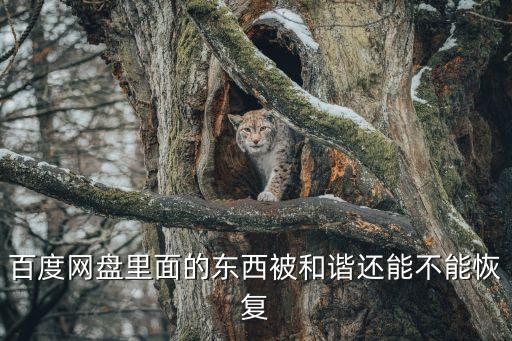 百度网盘里面的东西被和谐还能不能恢复