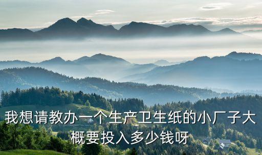 我想请教办一个生产卫生纸的小厂子大概要投入多少钱呀