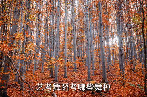 艺考舞蹈考哪些舞种