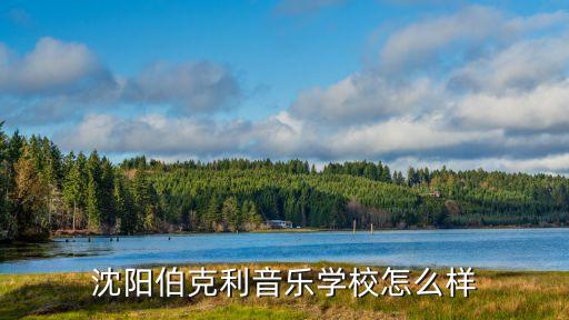 沈阳伯克利音乐学校怎么样