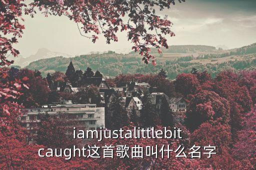 疯狂跳跳舞是什么歌曲，跑男里热巴跟李沁转圈圈的歌曲叫什么