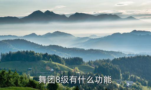 舞团8级有什么功能