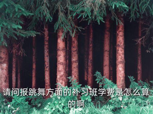 请问报跳舞方面的补习班学费是怎么算的啊