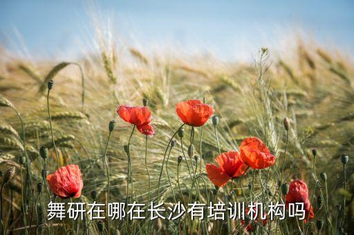 舞研在哪在长沙有培训机构吗