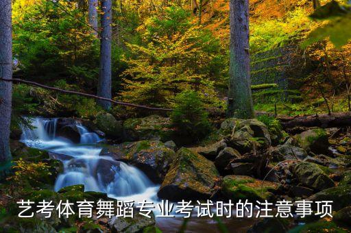 艺考体育舞蹈专业考试时的注意事项