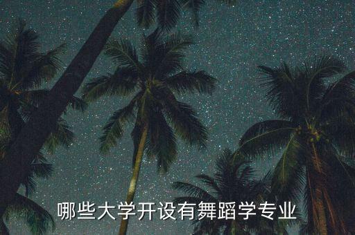 哪些大学开设有舞蹈学专业