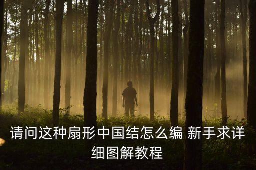 请问这种扇形中国结怎么编 新手求详细图解教程