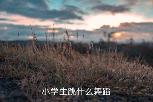 小学生跳什么舞蹈