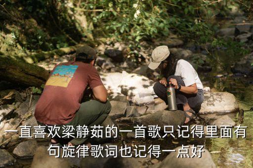 一直喜欢梁静茹的一首歌只记得里面有句旋律歌词也记得一点好