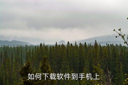 如何下载软件到手机上