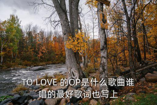 TO LOVE 的OP是什么歌曲谁唱的最好歌词也写上