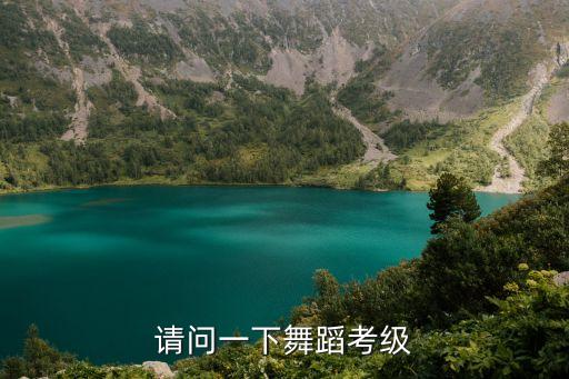 请问一下舞蹈考级