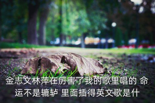 命运不是辘轳什么意思，金志文林萍在厉害了我的歌里唱的 命运不是辘轳 里面插得英文歌是什