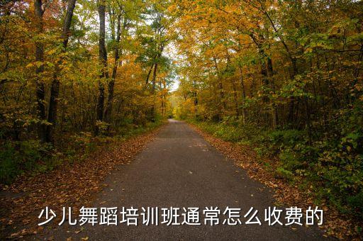 少儿舞蹈培训班通常怎么收费的