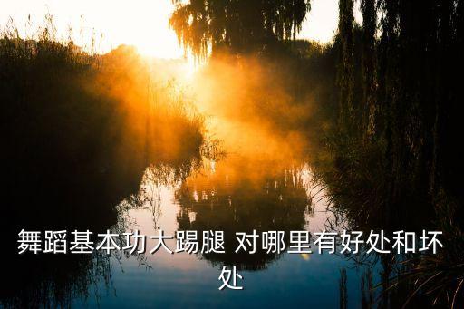 舞蹈基本功大踢腿 对哪里有好处和坏处
