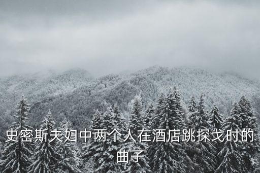 史密斯夫妇中两个人在酒店跳探戈时的曲子