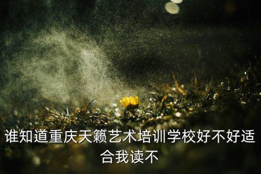 天籁艺术学校重庆校区收费标准，谁知道重庆天籁艺术培训学校好不好适合我读不