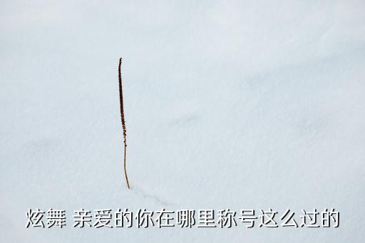 炫舞 亲爱的你在哪里称号这么过的