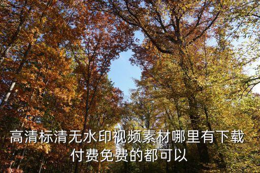 高清标清无水印视频素材哪里有下载 付费免费的都可以