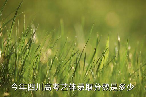 2021四川艺考一本线多少分，请问四川今年的美术生的高考文化本科线是多少分
