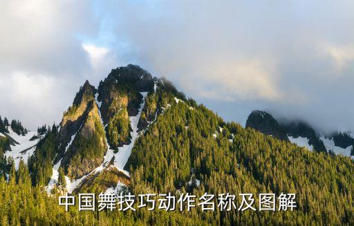 民舞动作图片，成品的舞蹈视频