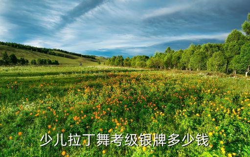 少儿拉丁舞考级银牌多少钱