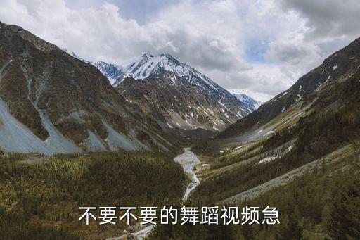 不要不要的舞蹈视频急